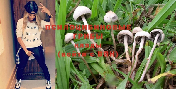 PSILOCYBIN Верхнеуральск