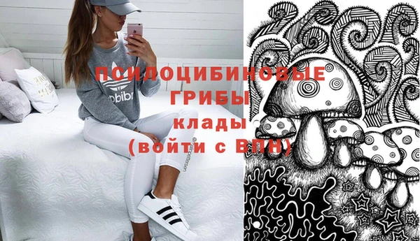 бошки Верхний Тагил
