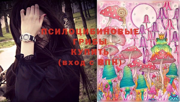 бошки Верхний Тагил