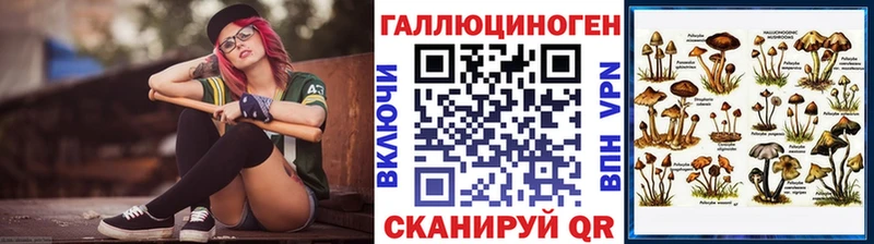 Купить закладки  Барыш  Галлюциногенные грибы GOLDEN TEACHER 